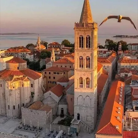 Dalmacija * بريفلاكا