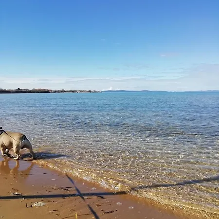 Dalmacija *